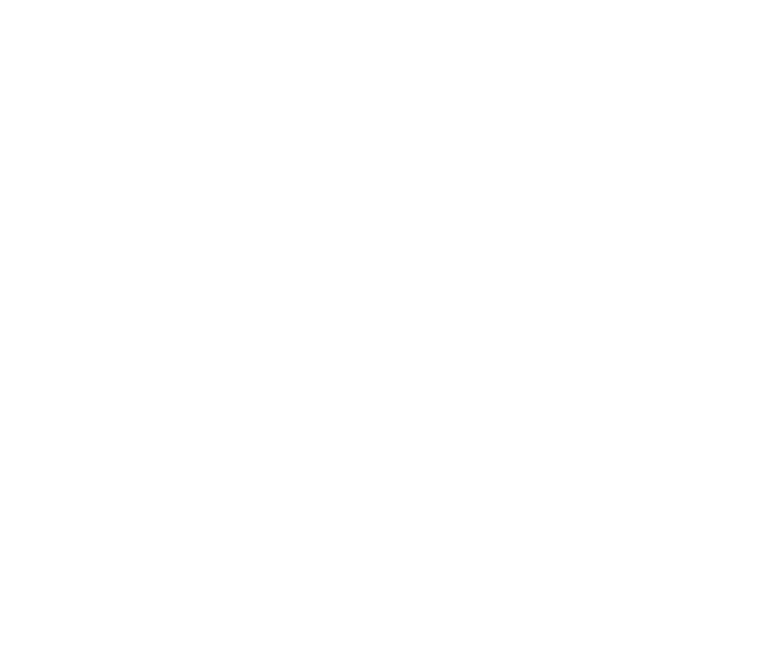 Strategic Outcomes Logo